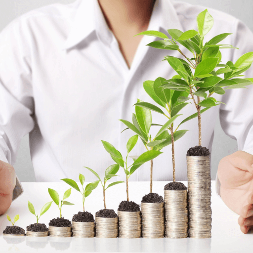 stack of coins with leaves and soil on top seated from small to bigger